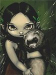 (image for) Ferret and his Fairy